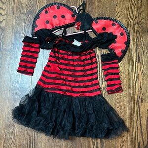 Butterfly costume size size 6T